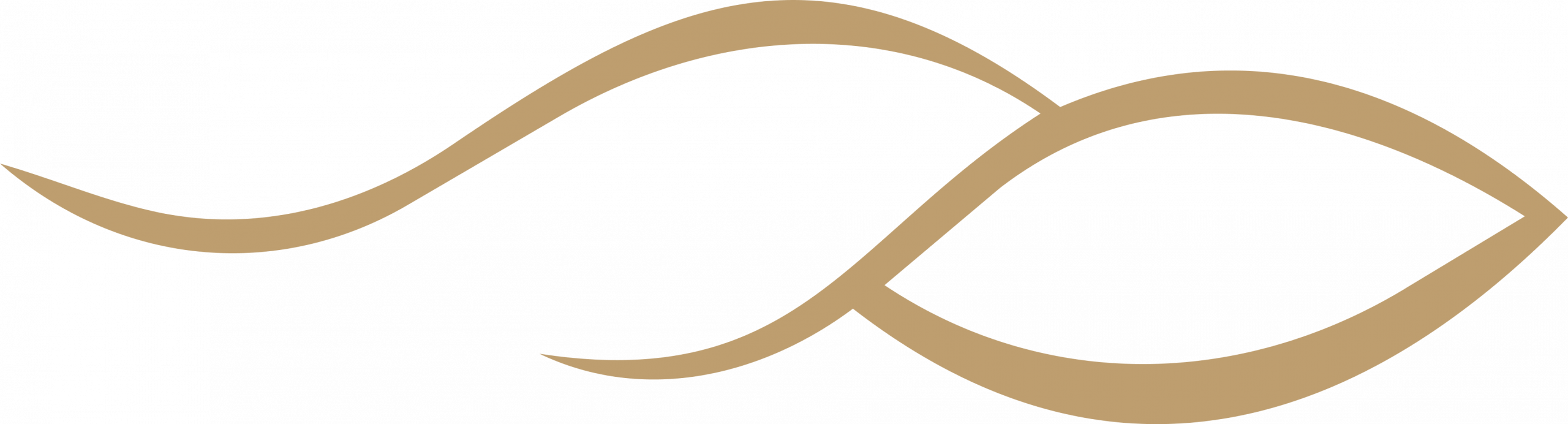 dorado